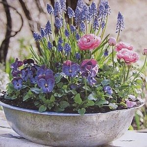 Meet your Posher, Katherine